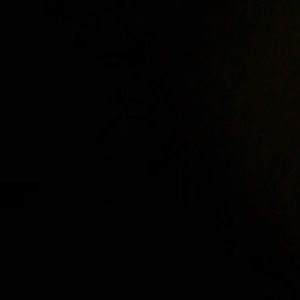 Meet your Posher, Lorena